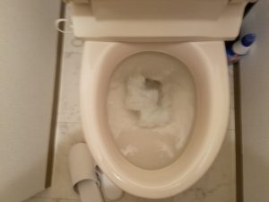行橋市でトイレのつまりを修理。3980円